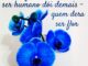 Orquídeas azuis com uma poesia - haikai: Em alguns momentos ser humano dói demais - quem dera ser flor e assinatura da autora vivipereira